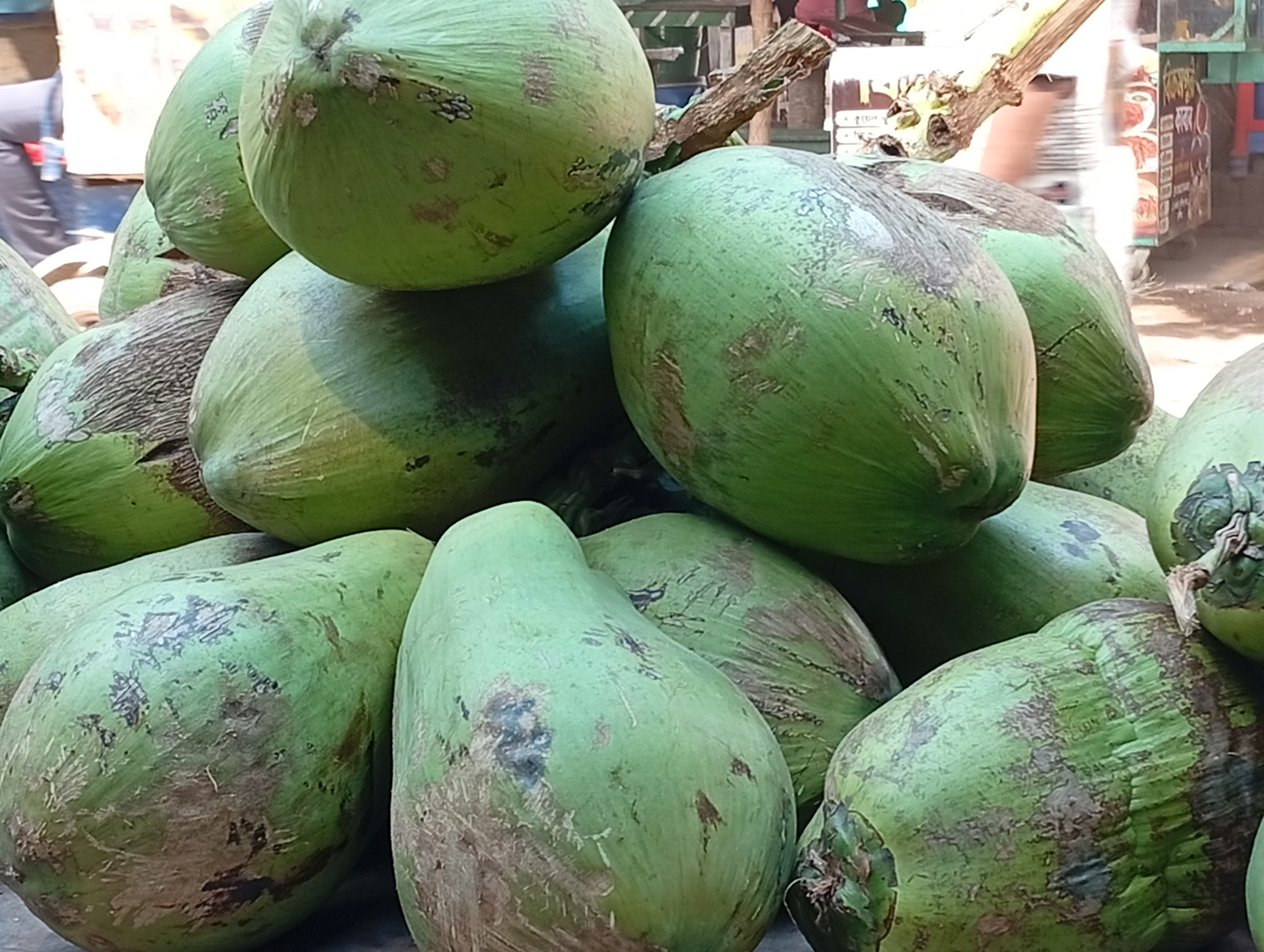 ডাব বড় সাইজ